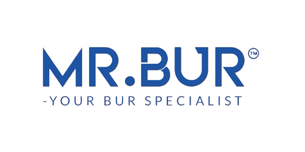 Mr Bur